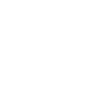 globe sharing icon