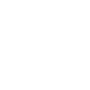 plant icon